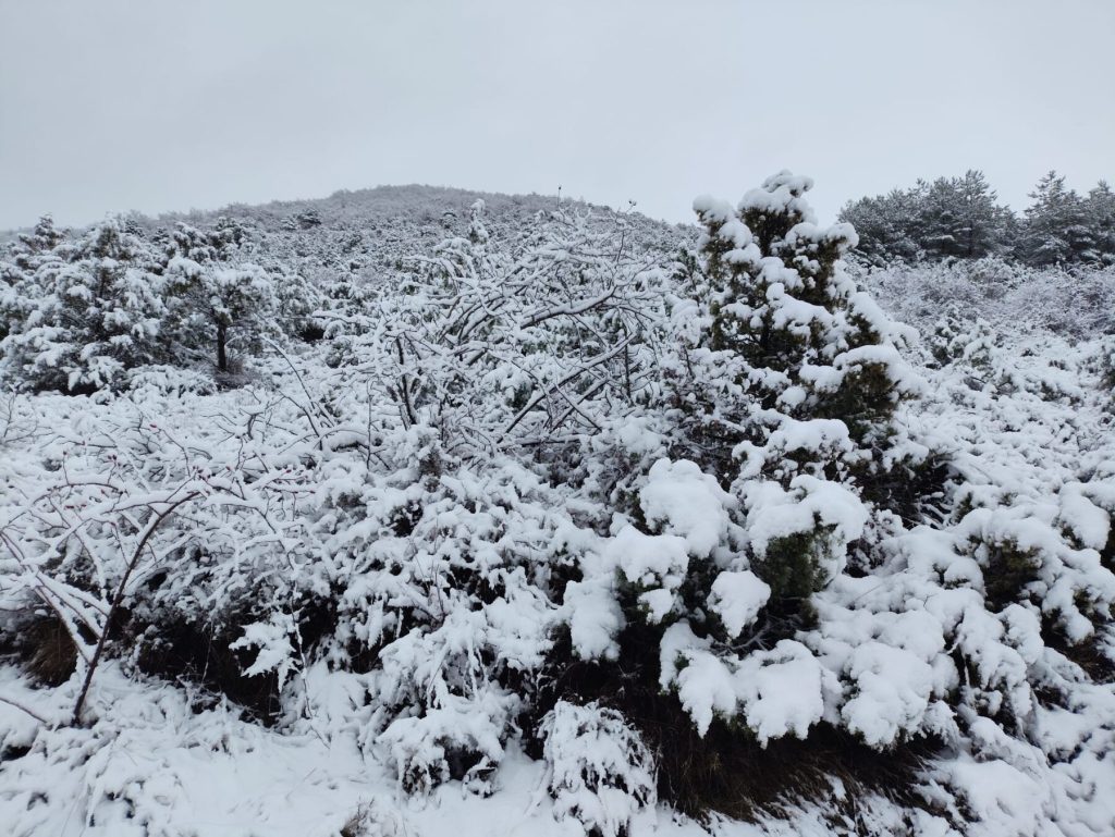Paisaje nevado de invierno en Javierregay