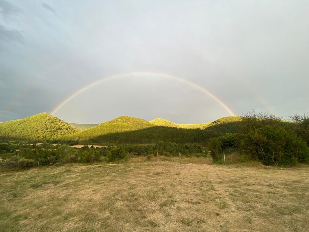 Campo en flor con arco iris en el Pirineo