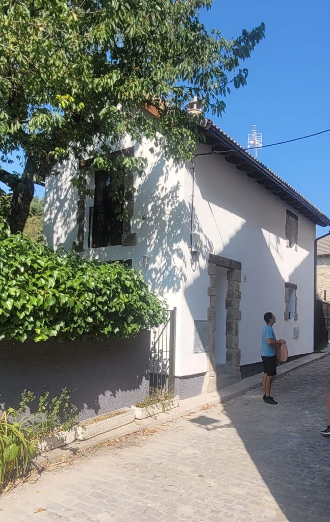 Proyecto en Borau